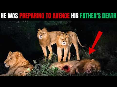 The BROTHERS Who TORTURED Their FATHER'S KILLER for HOURS in Sabi Sands | Selati Lions