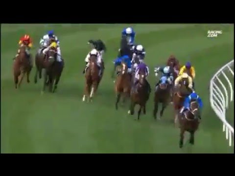 Winx - Cox Plate 2015