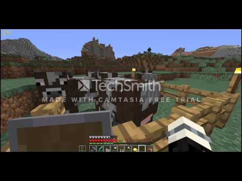 MINECRAFT VANILLA ITA #121 MINI-TOUR DEL MONDO!