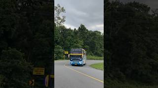 Download lagu Bus Aceh Jumpa Di Jalan Kembali Dari Medan mp3 Download lagu Bus Aceh Jumpa Di Jalan Kembali Dari Medan mp3