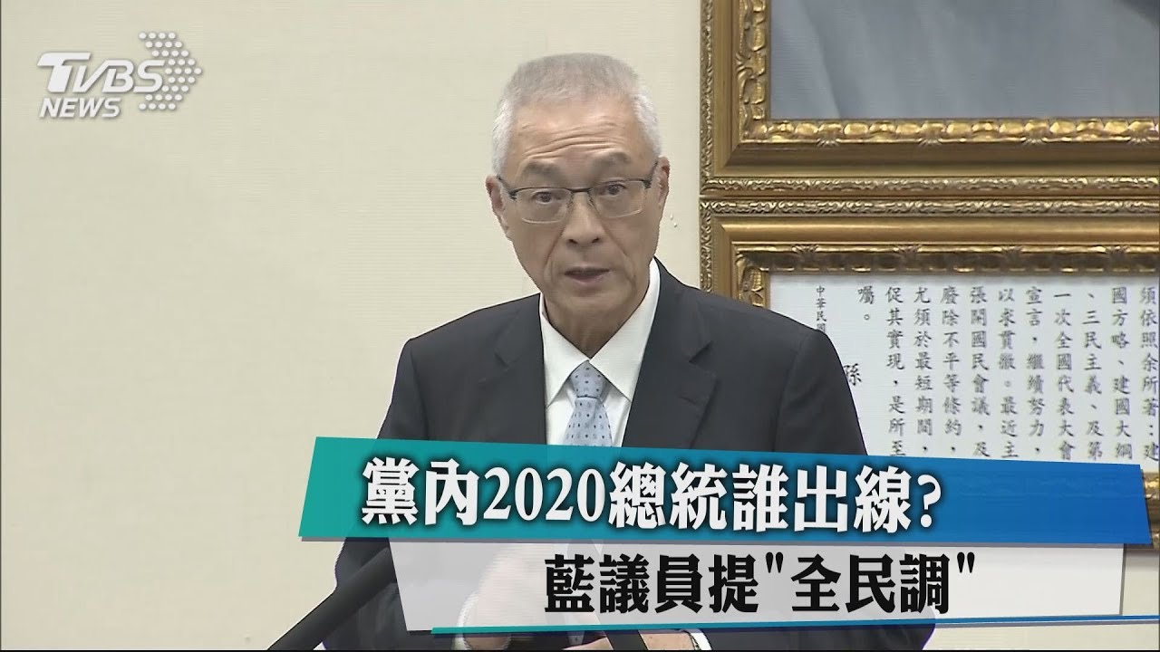 黨內2020總統誰出線? 藍議員提「全民調」