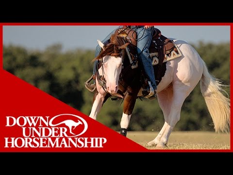 Clinton Anderson Presents: Titan a Legend in the Making, Lesson 6, Part 2 - Downunder Horsemanship