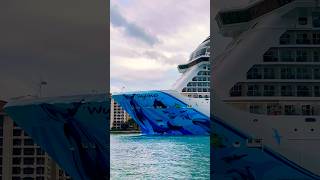 Norwegian Bliss 🛳️ #like #share #travel #subscribe #cruiseship #cruise #vacation #shorts #short #yt