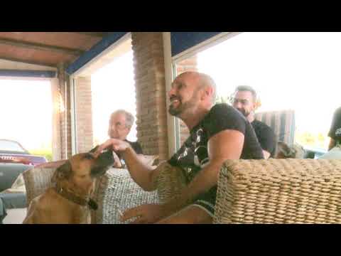 ABBA-I STILL HAVE FAITH IN YOU-WORLD PREMIERE-1ST REACTION.