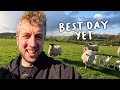 I LOVE lambing outside 🤪  |  Lambing Day 14