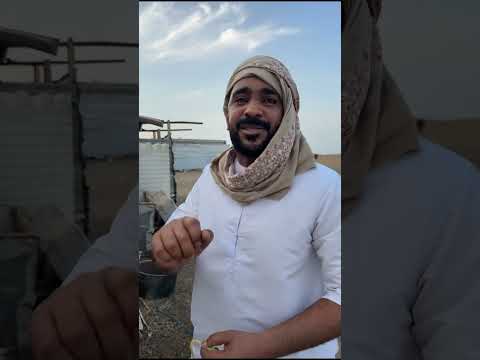 ماعرفنا من الصح ومن الغلط 😔💔