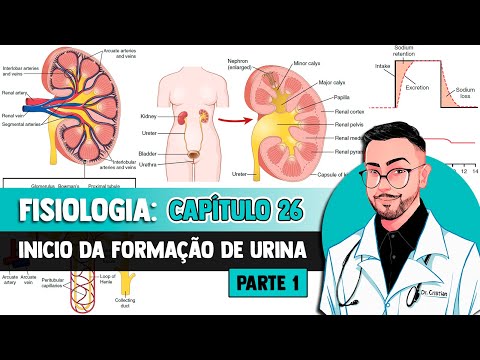 Fisiologia - Sistema Urinário: Anatomia Funcional e Formação da Urina pelo Rim (Capítulo 26) GUYTON