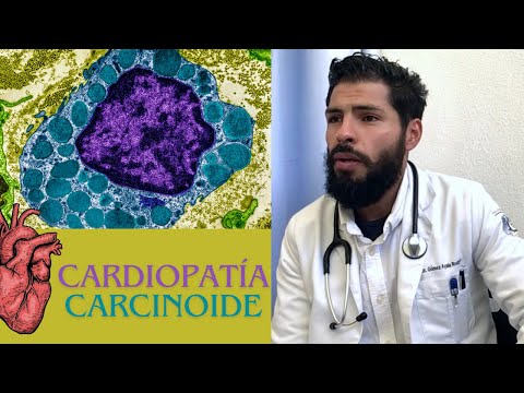 Cardiac Pathology video 4
