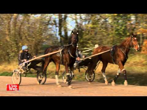 Carnet de Piste STEPHANE MEUNIER