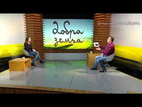 Sta nude Dekalb  hibridi 2016  - sta su to HD hibridi ?