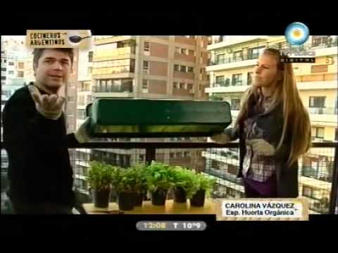 Lechuga y rúcula (capítulo 7)