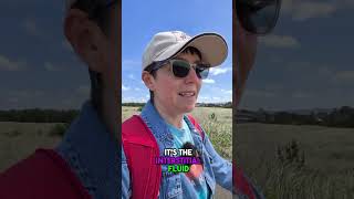 LADA Diabetes Burnout: My Struggle with Lows & Highs #shorts