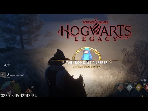 Hogwarts Legacy A THIEF IN THE NIGHT. Capture the thief