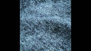 Carousel navigation image position 7 of 7