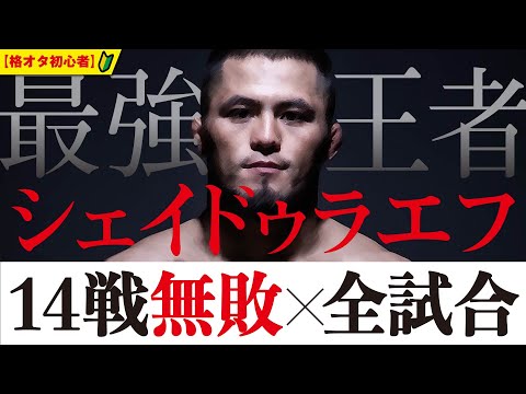 RIZINフェザー級王者になったラジャブアリ・シェイドゥラエフのデビューからこれまでの全試合【格オタ初心者】