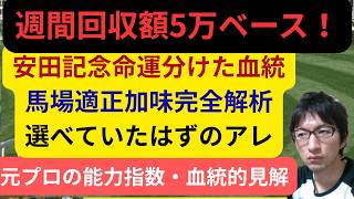 [競馬/能力指数 ]競馬指数Ayumix安田記念血統分析  勝ち馬シックスペンス 武豊 ガイアフォース ワールズエンド 同着　 トロヴァトーレ ルメール