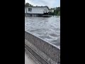 Man Rescues Horses From Texas Flood