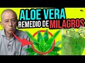 ALOE VERA PENCA SABILA Y SUS INFINITOS BENEFICIOS MILAGROSOS Oswaldo Restrepo RSC