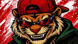 Download lagu DJ BORN TIGER - NOW ITS OVER #bboymusichannel #bboysongs mp3