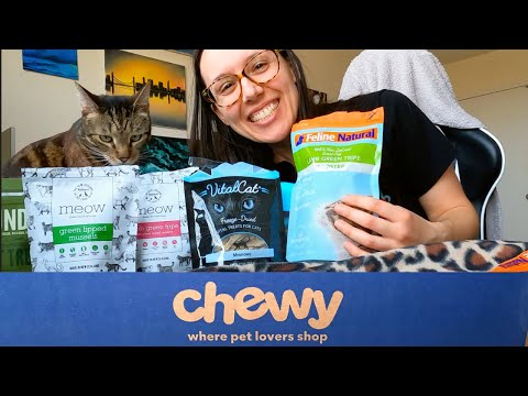 Healthy cat treats on Chewy (live taste test)