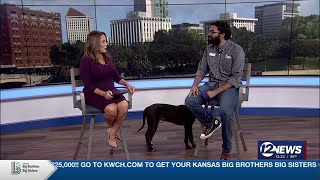Pet Adoption Wednesday