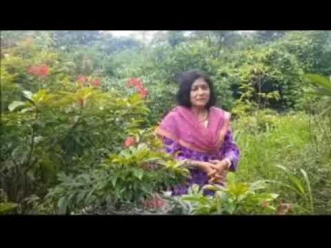 16 07 2023 KUCH BAATEN KUCH GEET BY MAMTA SINGH