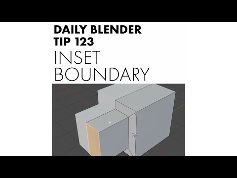 Daily Blender Tip 123 - Inset Boundary