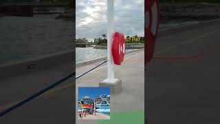 icon of the see #youtubeshorts #travel #cruiseline #viral #cruise #lifeisbutadream #cruiseship