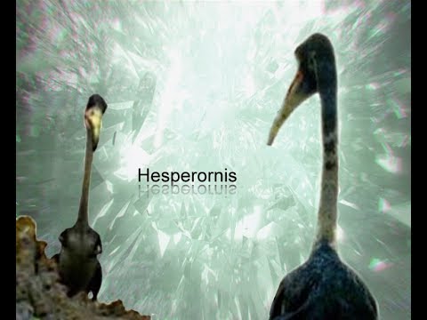 Primeval - Hesperornis