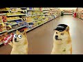Skittles Meme Doge Meme Mentom