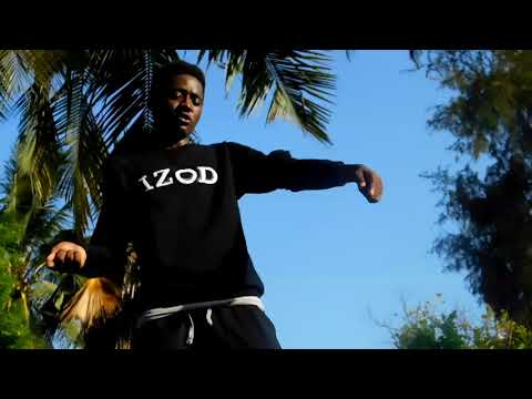 TY NICCAR BEATS- COOL SHIT OFFICAL {explicitVIDEO