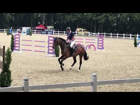 4 yo Cole Porter ( F ONE USA x Colandro) 21.07.19