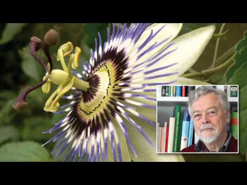 „Symbolkraft kann Heilung unterstützen"