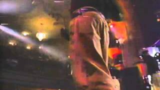 3rd Bass- Pop Goes the Weasel (Live)