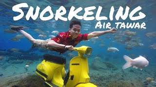 preview picture of video 'Snorkeling Air Tawar di Umbul Ponggok ( Klaten Jawa Tengah - Indonesia ) || Travel Vlog #showfiAn'