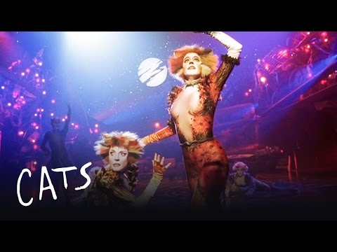 Macavity the Mystery Cat Part 2 | Cats the Musical