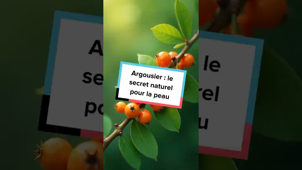 Vidéo YouTube