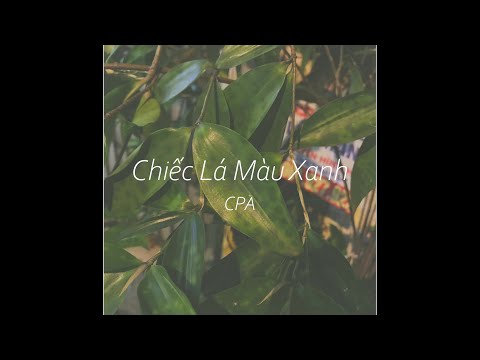 Chiếc Lá Màu Xanh - CPA *ngẫu hứng :)