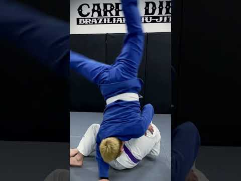 バックボーン体操の柔術家