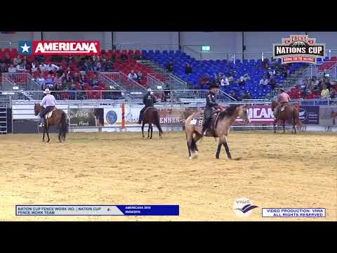 Metamoorphosis - AMERICANA 2019 NRCHA/ERCHA European Reined Cow Horse Nations Cup - Cow Work