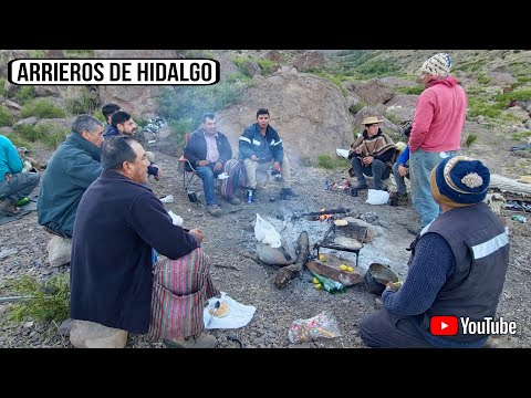 Buscando Ganado con Arrieros de Hidalgo Putaendo Rodeamos vacas por la cordillera Valparaíso Chile