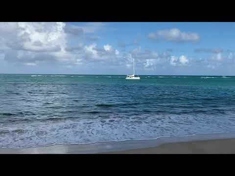 Playa Popy Morning! ☀️| Dominican Republic Beach