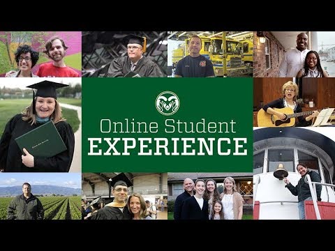 CSU Online Student Experience