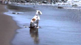 AZ-Doing Me-Carlitoo