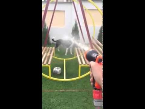 Blend Gjinolli - Counter Strike 1.6