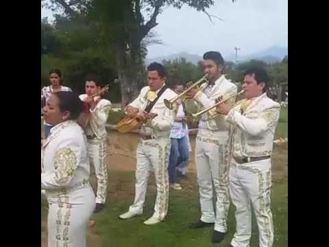 serenata  a kaleth morales  con el mariachi monterrey de valledupar whatsapp 3015155081