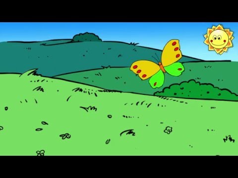 Schmetterling nun flieg geschwind - Kinderlieder - Kanal