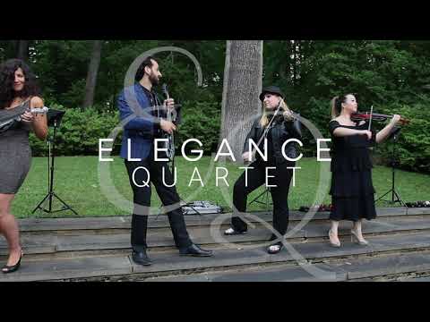 Promotional video thumbnail 4 for Elegance Quartet Entertainment