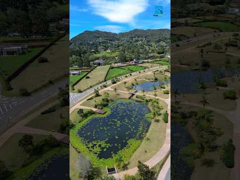 Lote en venta sector el Yarumo La Ceja Antioquia