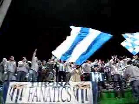 morri i kuq - TIRONA (2)